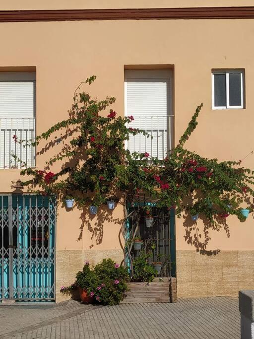 Apartamento Las Canastas Cadiz Centro Экстерьер фото